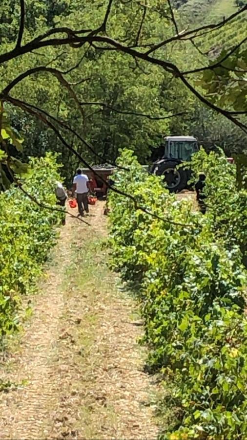 Podere Ghiole Монтеспертоли Екстериор снимка