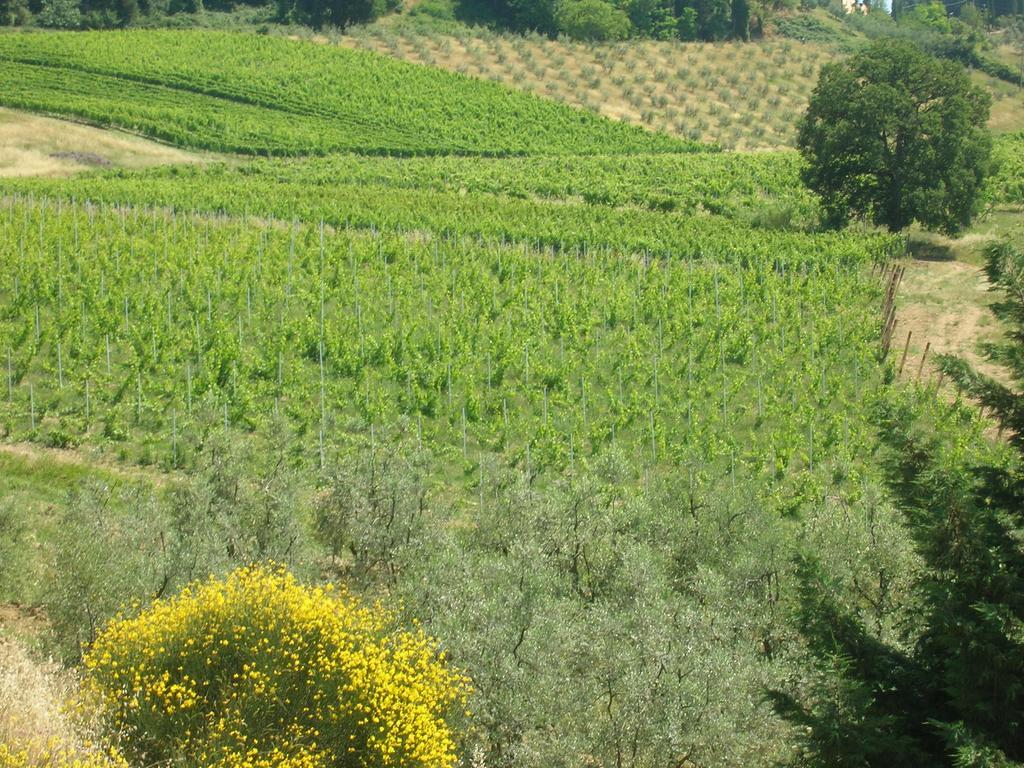 Podere Ghiole Монтеспертоли Екстериор снимка