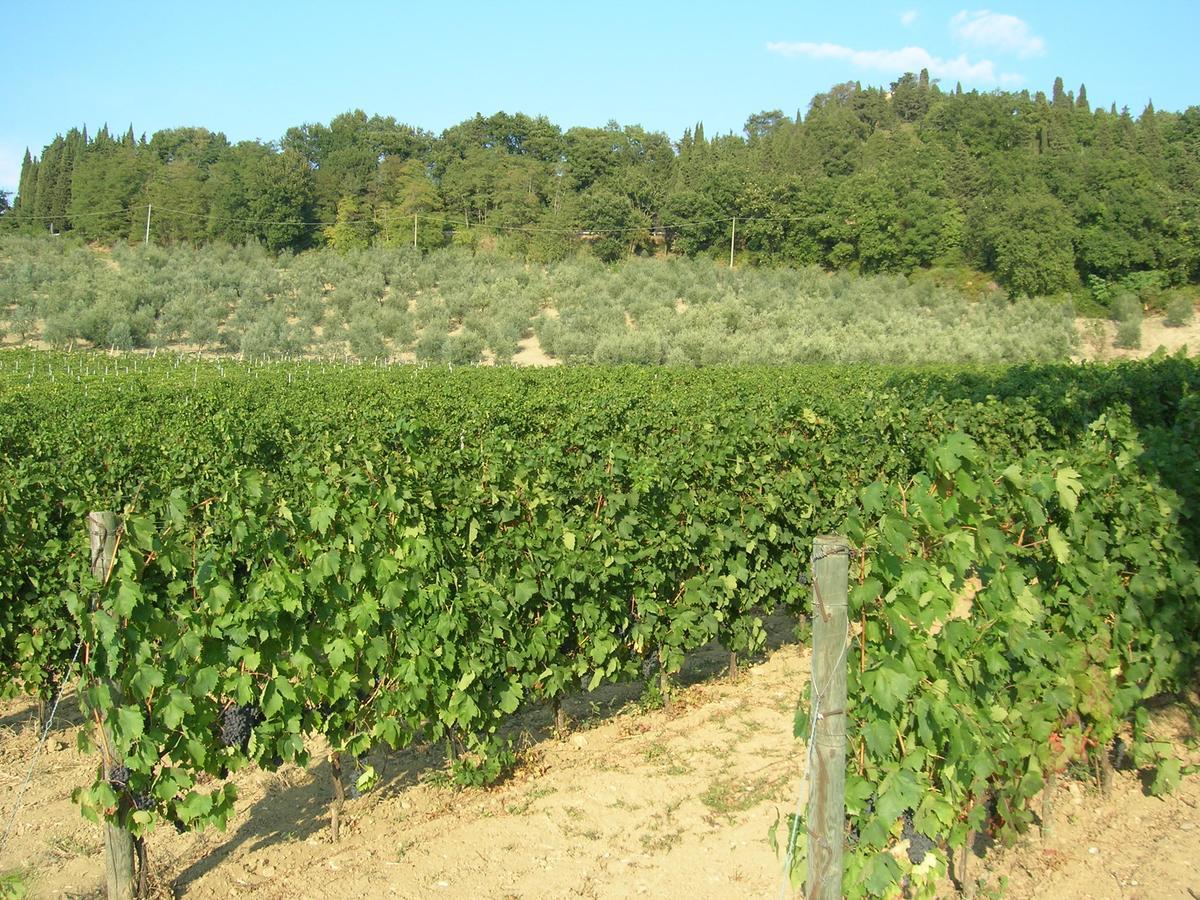 Podere Ghiole Монтеспертоли Екстериор снимка